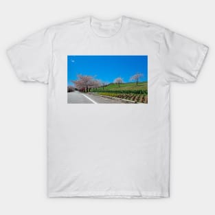 The Natural Beauty Of Nature at The Moment Of Sakura 2 T-Shirt